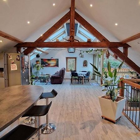Bel Appartement 120 M² Tres Lumineux Avec Terrasse Morvillars エクステリア 写真