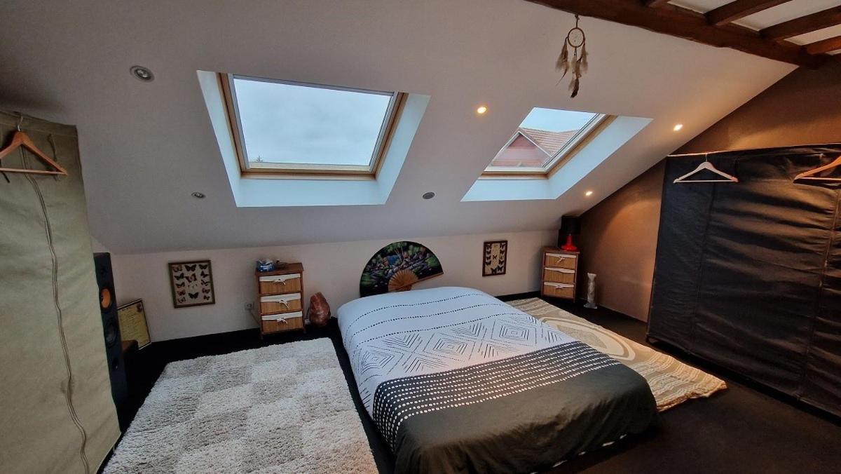 Bel Appartement 120 M² Tres Lumineux Avec Terrasse Morvillars エクステリア 写真