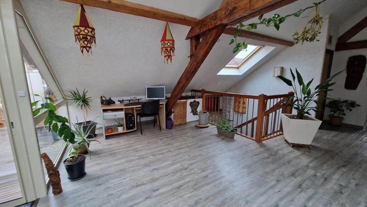 Bel Appartement 120 M² Tres Lumineux Avec Terrasse Morvillars エクステリア 写真