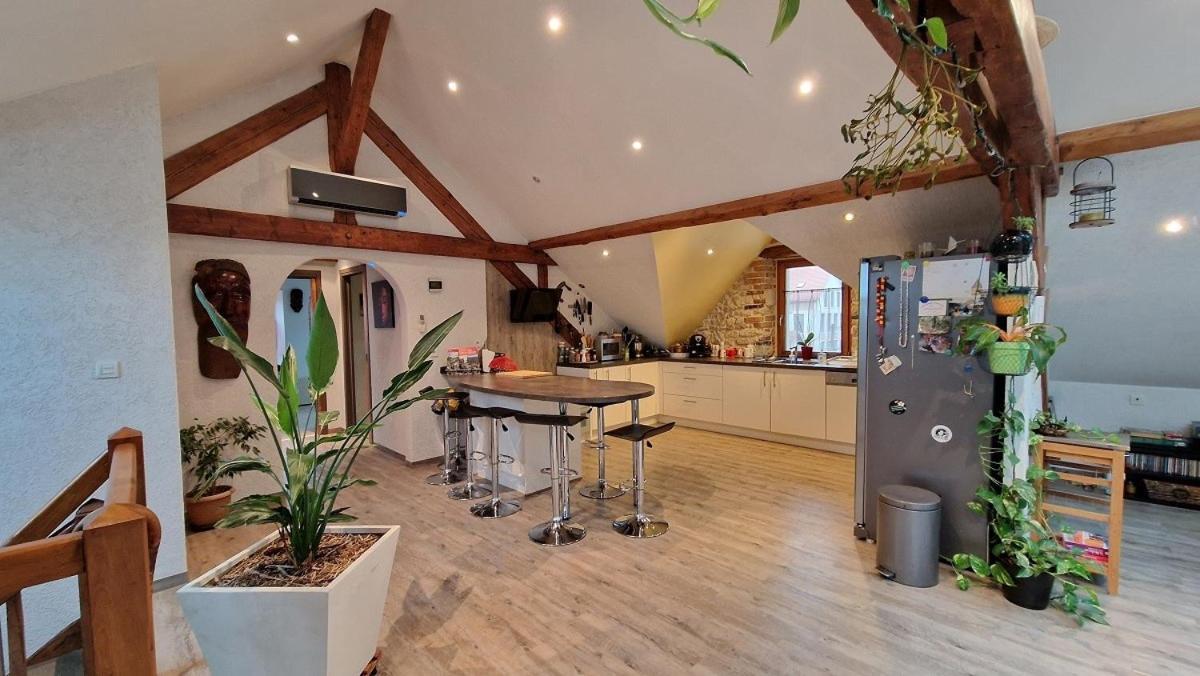 Bel Appartement 120 M² Tres Lumineux Avec Terrasse Morvillars エクステリア 写真